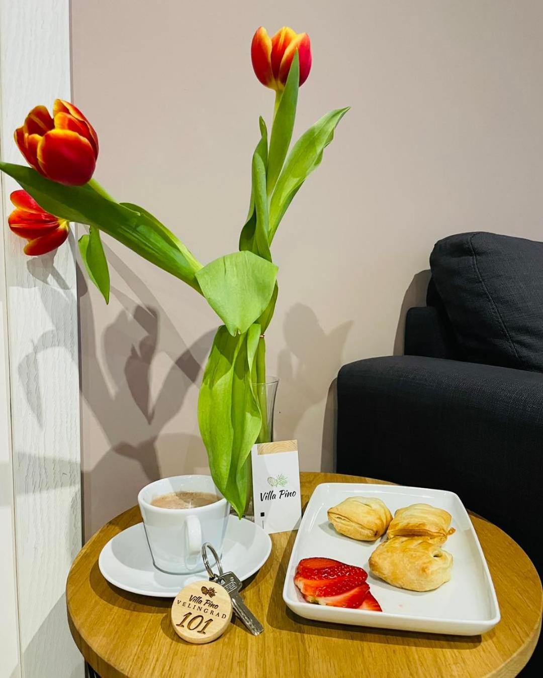 Villa Pino Velingrad Kültér fotó