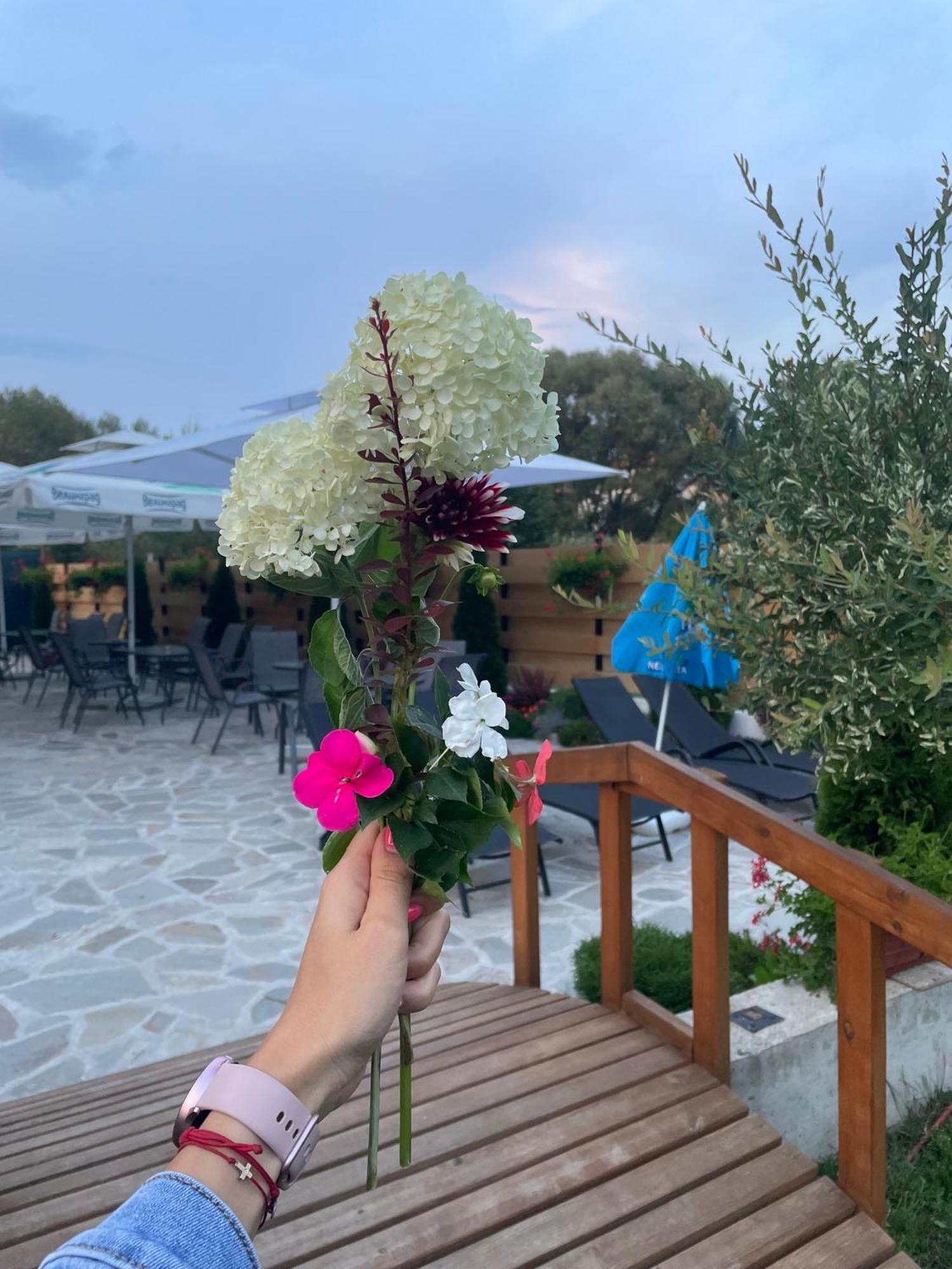 Villa Pino Velingrad Kültér fotó