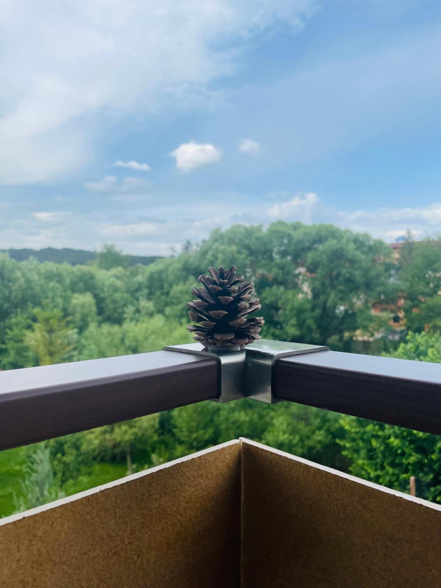 Villa Pino Velingrad Kültér fotó